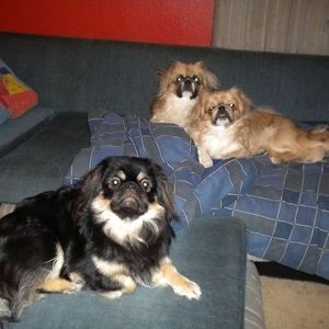 Meet your Posher, Michael